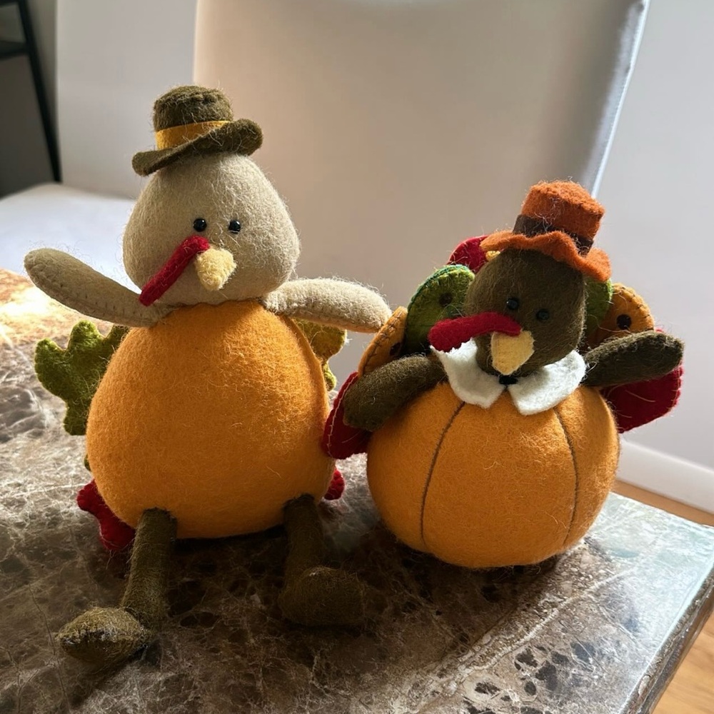 Thanksgiving pair of turkeys